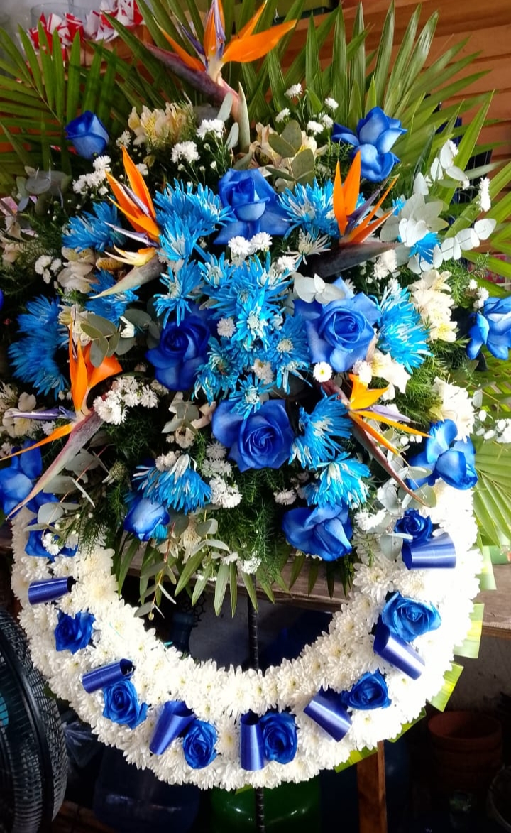 Coronas Modelo "B"